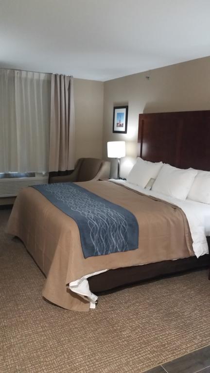 Comfort Inn Jamaica Downtown New York Bilik gambar