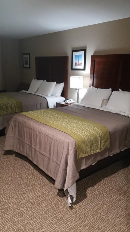 Comfort Inn Jamaica Downtown New York Bilik gambar